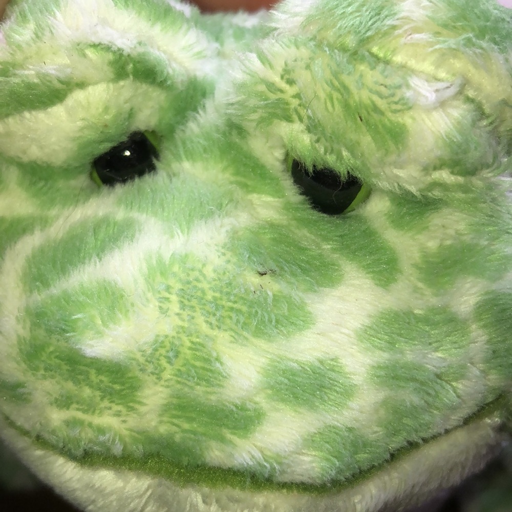 Ganz Webkinz Green Spotted Bullfrog Plush Stuffed Animal 7.5" with tag plushy - Picture 10 of 10